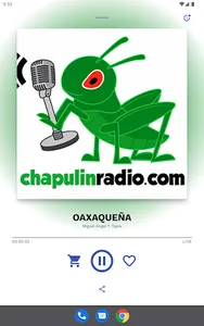 Chapulin Radio screenshot 4