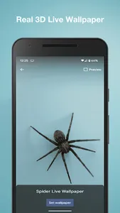 Spider Live Wallpaper screenshot 2