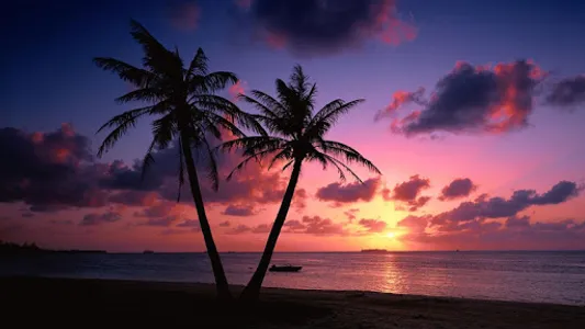 Beach Sunset Live Wallpaper screenshot 6