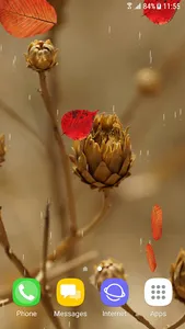 Winter and Autumn Flowers Live screenshot 2