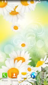 Daisies Live Wallpaper screenshot 1