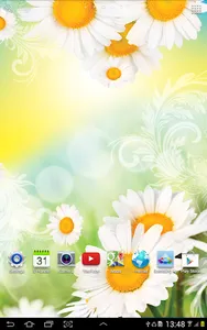 Daisies Live Wallpaper screenshot 4