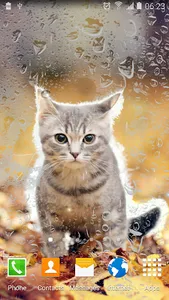 Cute Animals Live Wallpaper screenshot 4