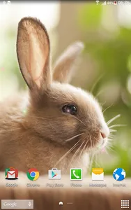 Cute Animals Live Wallpaper screenshot 6