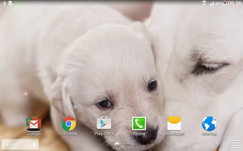 Cute Animals Live Wallpaper screenshot 7