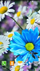 Daisies Flowers Live Wallpaper screenshot 1