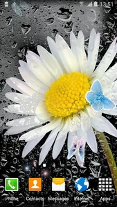 Daisies Flowers Live Wallpaper screenshot 2