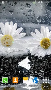 Daisies Flowers Live Wallpaper screenshot 3