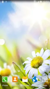 Daisies Flowers Live Wallpaper screenshot 5