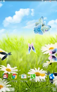 Daisies Flowers Live Wallpaper screenshot 6