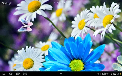 Daisies Flowers Live Wallpaper screenshot 8