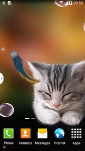 Sleepy Kitten Wallpaper Lite screenshot 1