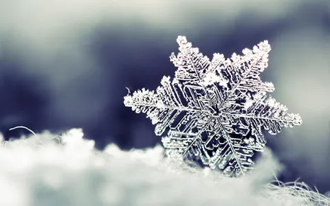 Live Snow Wallpapers screenshot 7