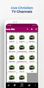 Fante Pocket Bible Dictionary screenshot 4