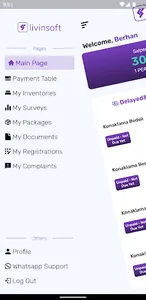 Livinsoft screenshot 3