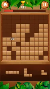 Wood Block Puzzle : Classic screenshot 4