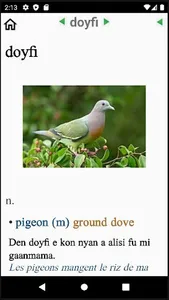 Dictionnaire Nengee-Fr-En screenshot 1