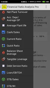 Financial Ratio Analysis screenshot 2