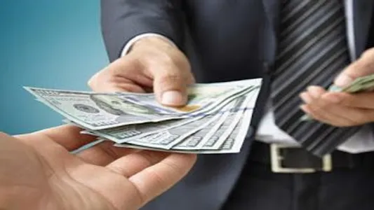 Loan Payday Info Guide screenshot 11