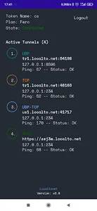 Localtonet screenshot 3