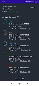 Localtonet screenshot 4