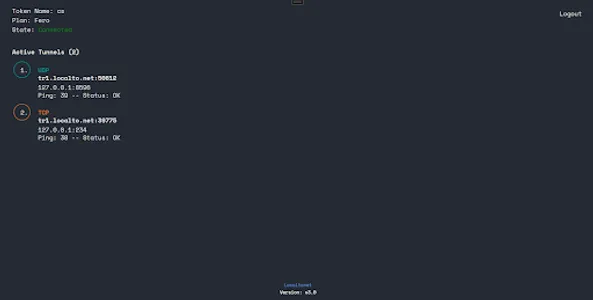 Localtonet screenshot 6