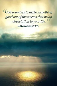 Daily Bible Verse To Share screenshot 2