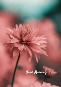 Inspiring Good Morning Greetin screenshot 6