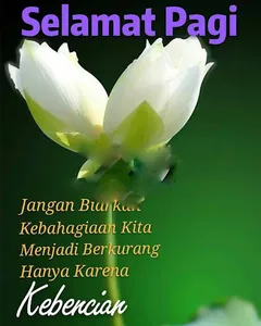 Ucapan Selamat Pagi screenshot 2