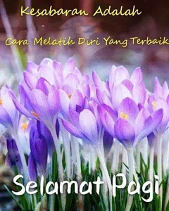 Ucapan Selamat Pagi screenshot 3