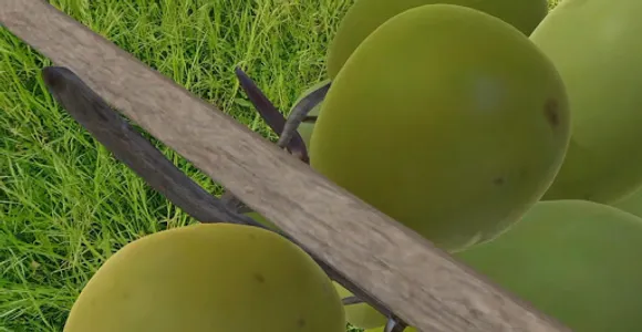 Kalebtraube screenshot 1