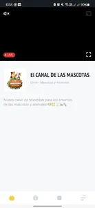 Canal de Las Mascotas screenshot 6