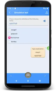 Learn Punjabi | Punjabi Transl screenshot 5