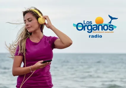 Radio Los Órganos: Online screenshot 0