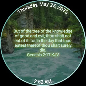 Eden Watch Face screenshot 6