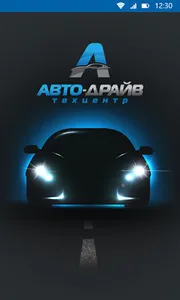 Авто-драйв screenshot 0