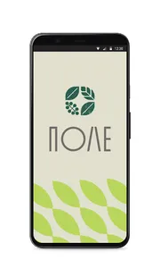 Поле screenshot 0