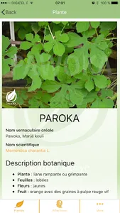Pawoka screenshot 2