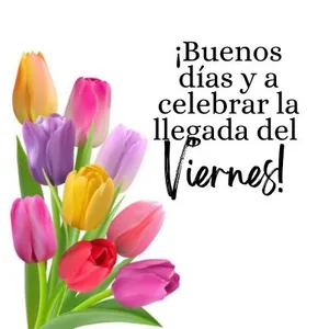 Saludos para Toda Ocasión screenshot 7