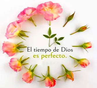 Buenos Días Bendiciones screenshot 4