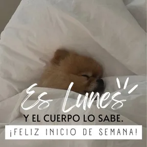 Buenos Días Bendiciones screenshot 6