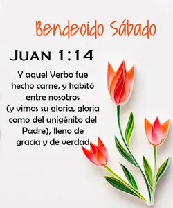 Versículos Diarios screenshot 4
