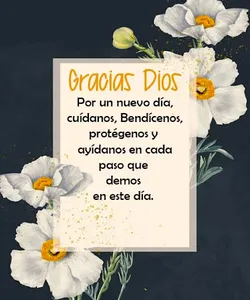 Versículos Diarios screenshot 5