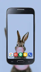 Kelinci Paling imut Wallpaper screenshot 0