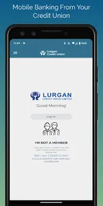 Lurgan Credit Union screenshot 0