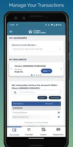 Lurgan Credit Union screenshot 1