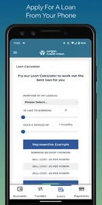Lurgan Credit Union screenshot 2