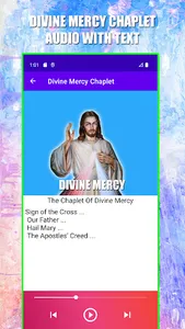 Chaplet Of Divine Mercy Audio screenshot 0