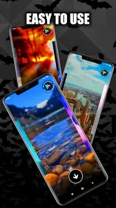 Bat Wallpaper Live HD/3D/4K screenshot 7