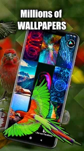 Bird Live Wallpaper | Birds Wa screenshot 2